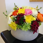 エレット サンレモ